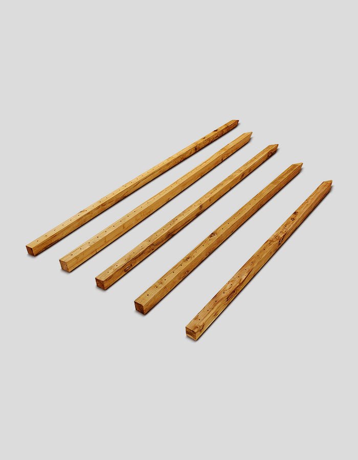 Weinbergpfähle vorgebohrt aus Robinienholz