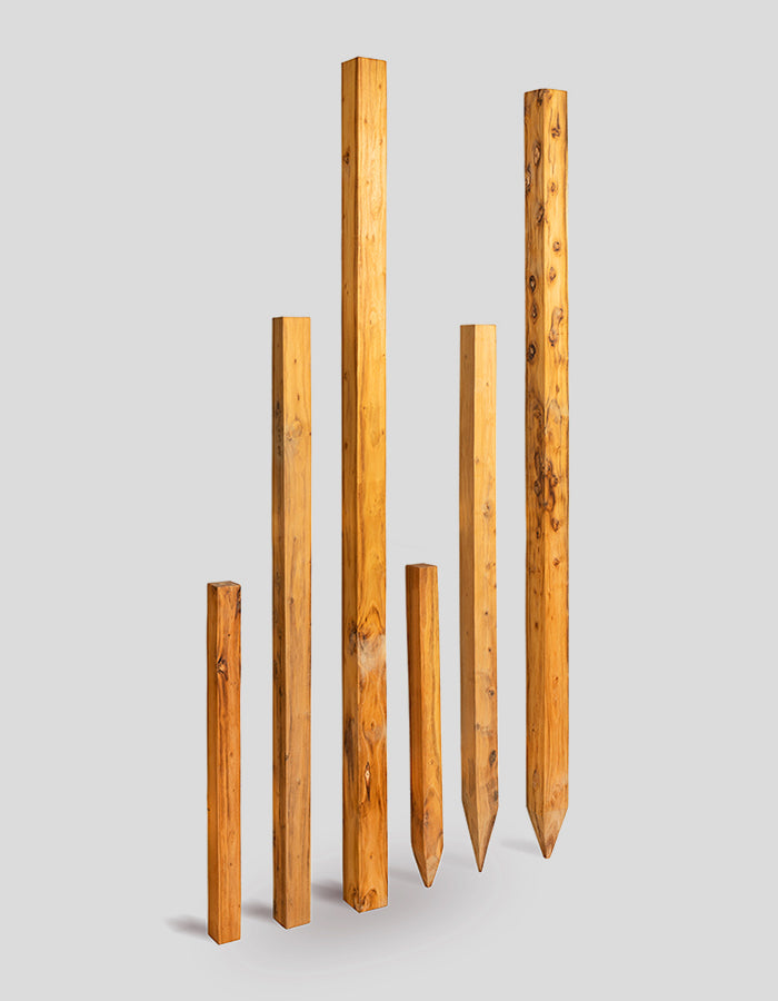 Vierkantpfosten geschliffen, oben gerade aus Robinienholz