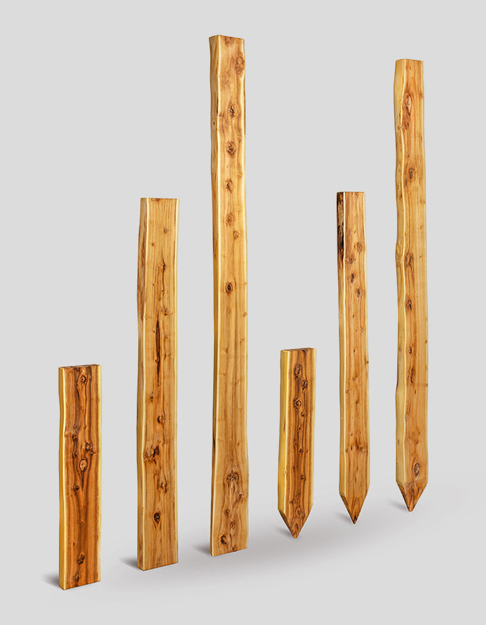 Bonanza-Pfosten (unbesäumt) geschliffen, oben gerade aus Robinienholz