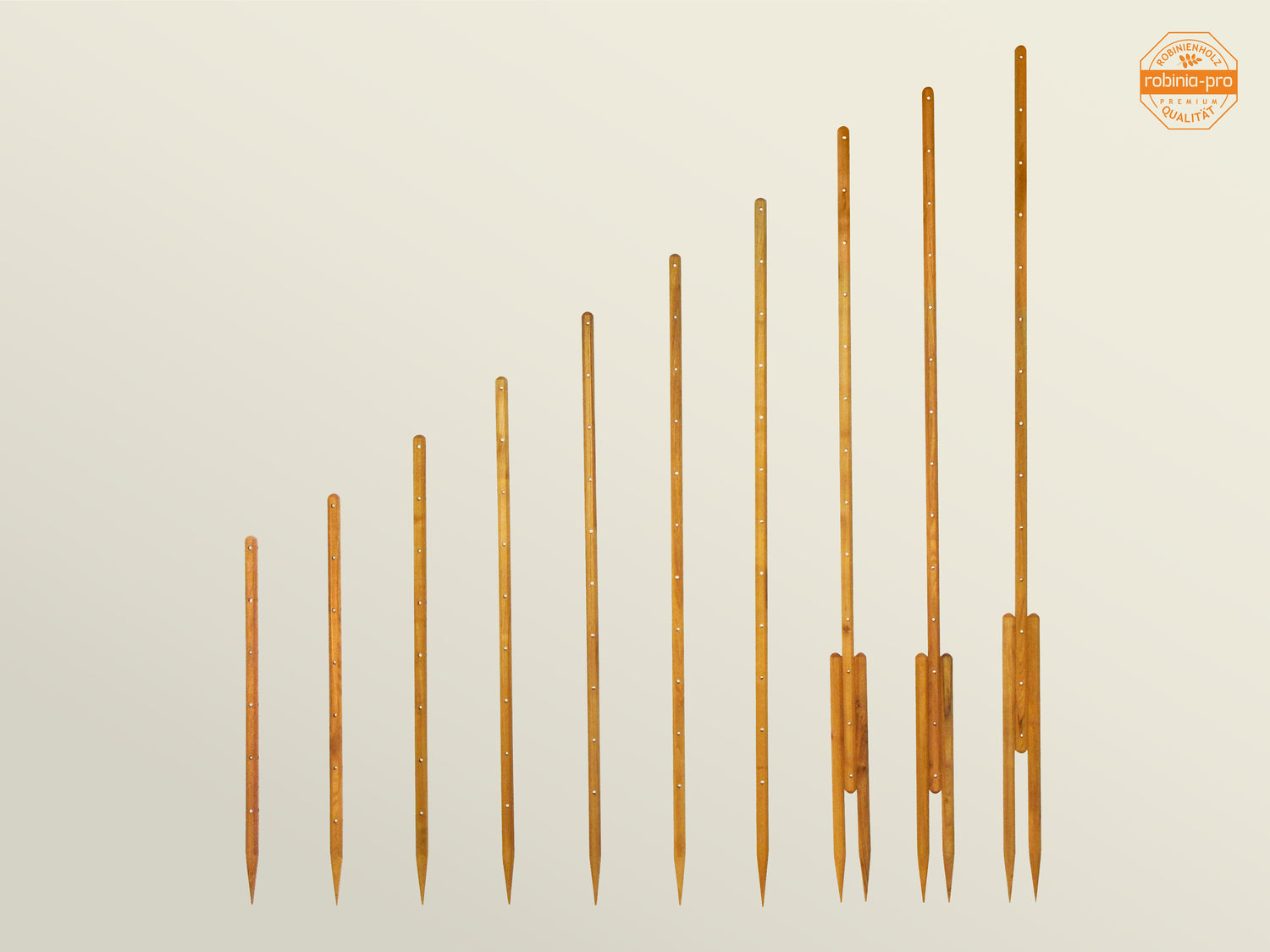 robinia-pro ROSENSTAB