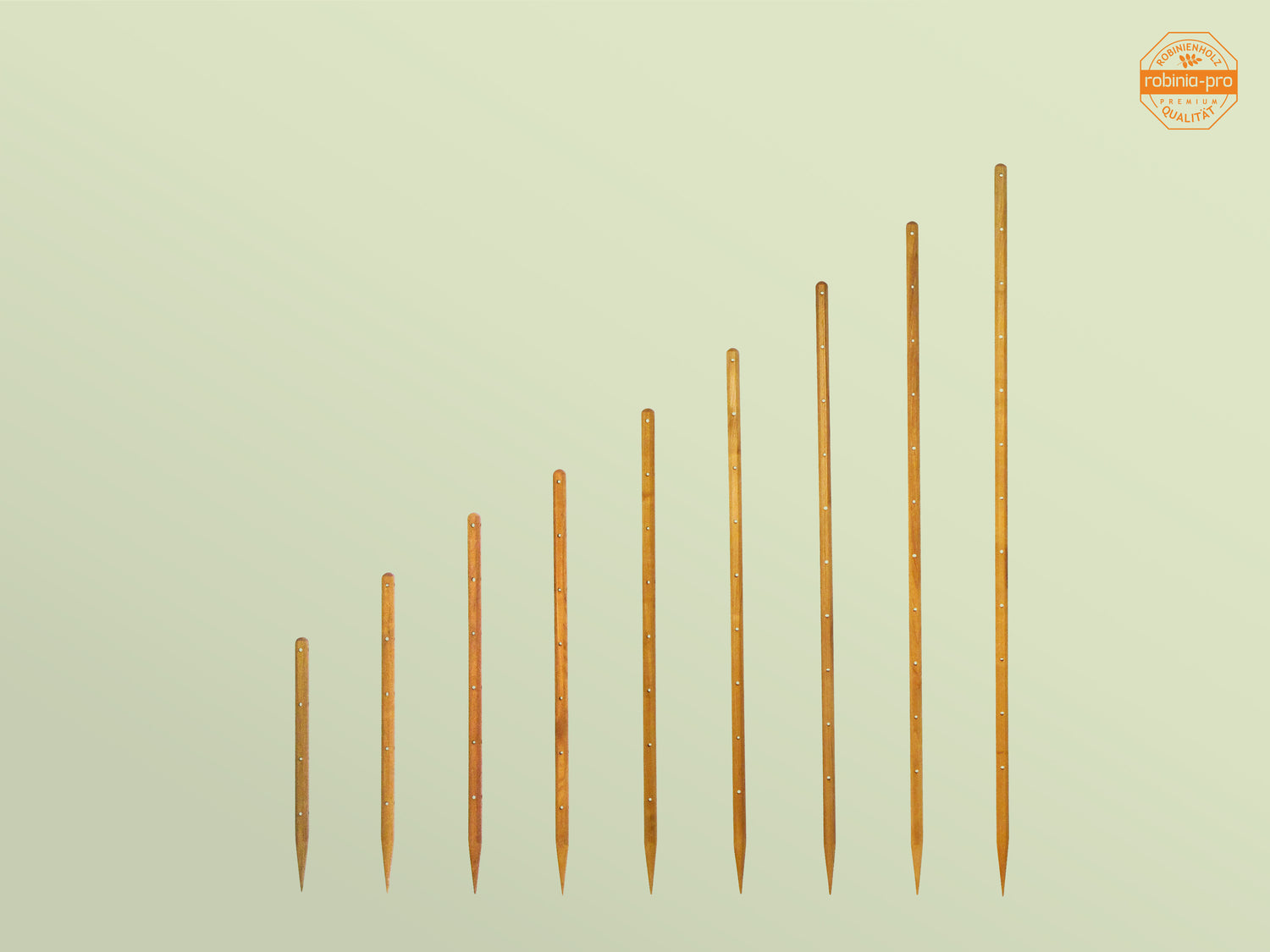 robinia-pro PFLANZSTAB aus Holz