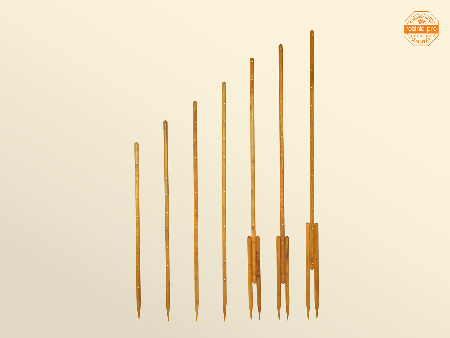 robinia-pro TOMATENSTÄBE