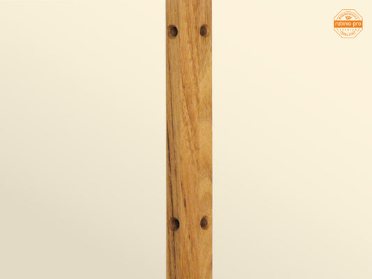 robinia-pro PFLANZSTAB aus Holz