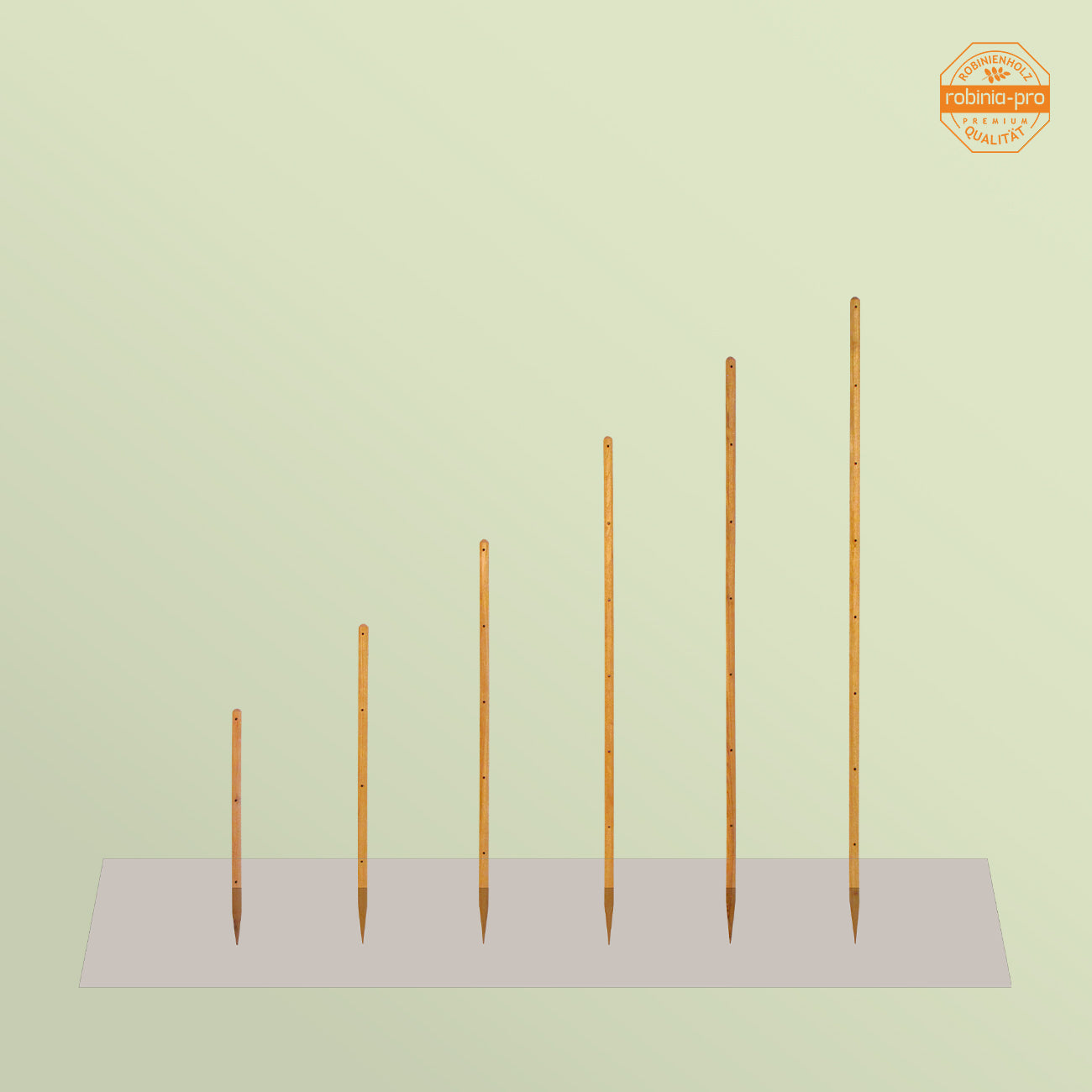 robinia-pro PFLANZSTAB aus Holz
