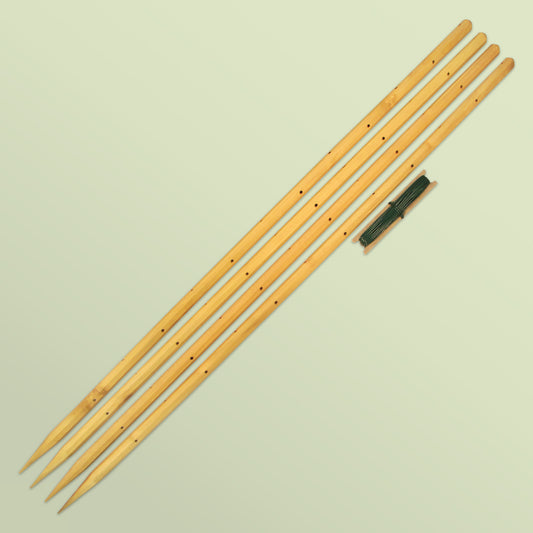 robinia-pro STAUDENHALTER