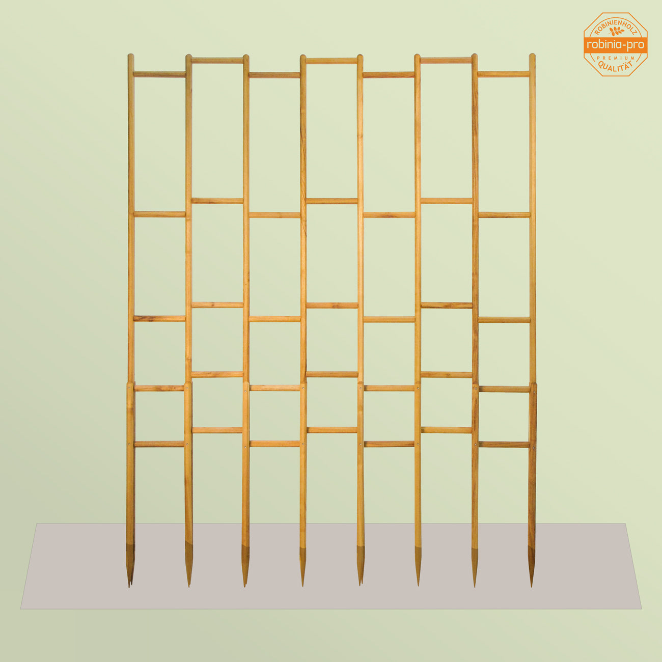 robinia-pro BOHNEN-RANKGITTER