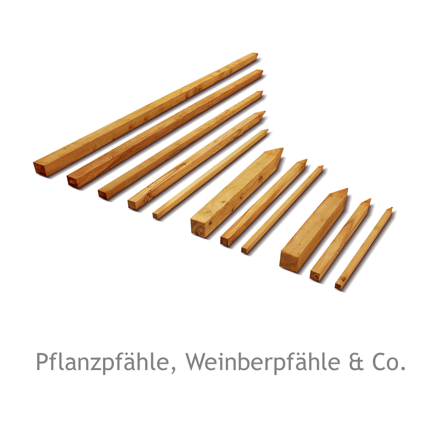 Pflanzpfähle, Weinbergpfähle & Co.