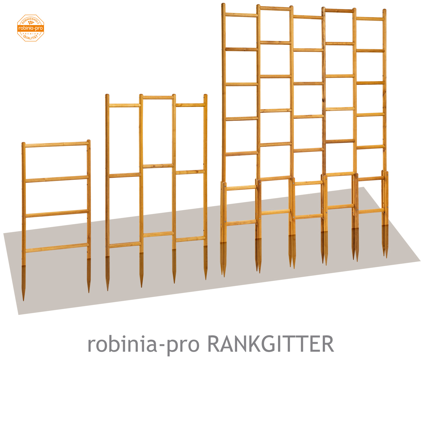 robinia-pro-RANKGITTER-1