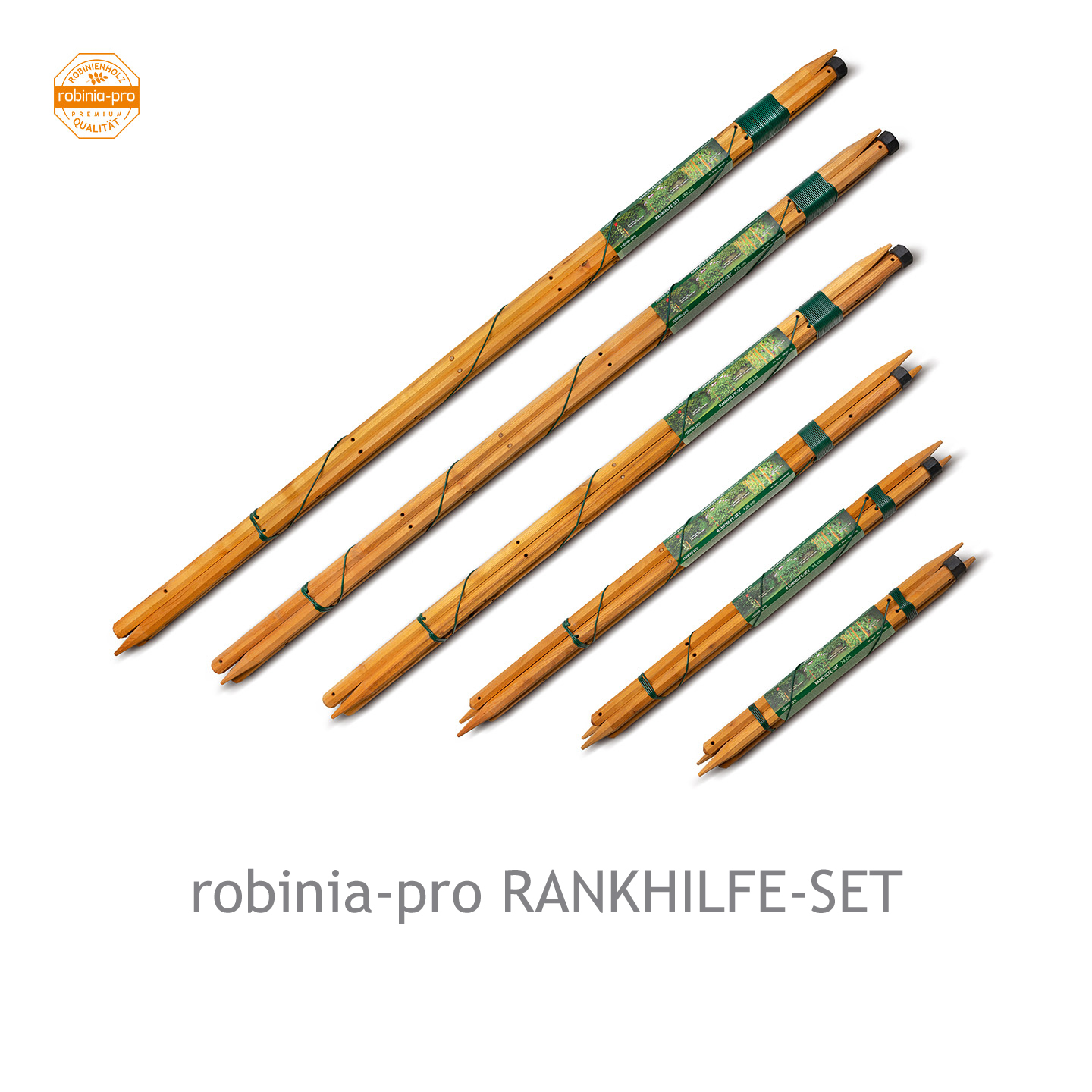 robinia-pro-RANKHILFE-SET