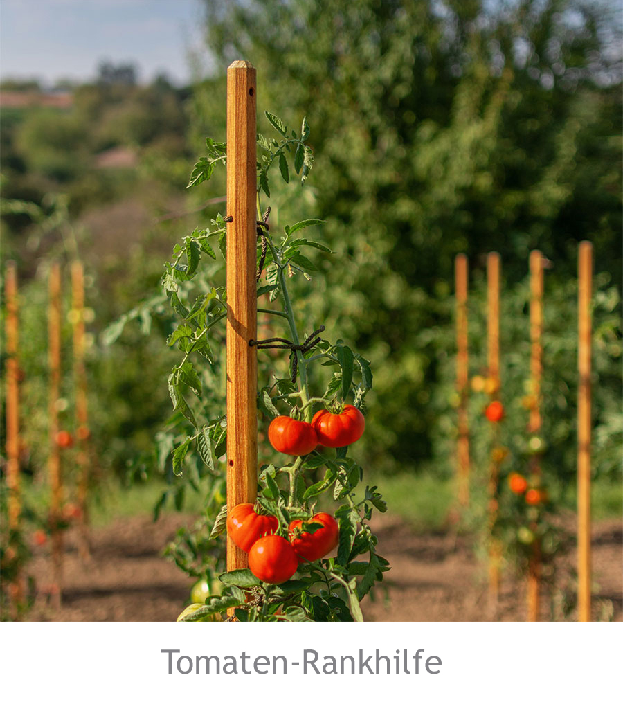 Tomaten-Rankhilfe-1