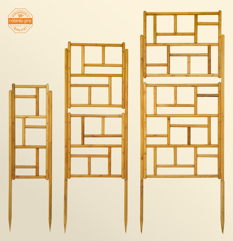 robinia-pro KLETTERHILFE Clematis