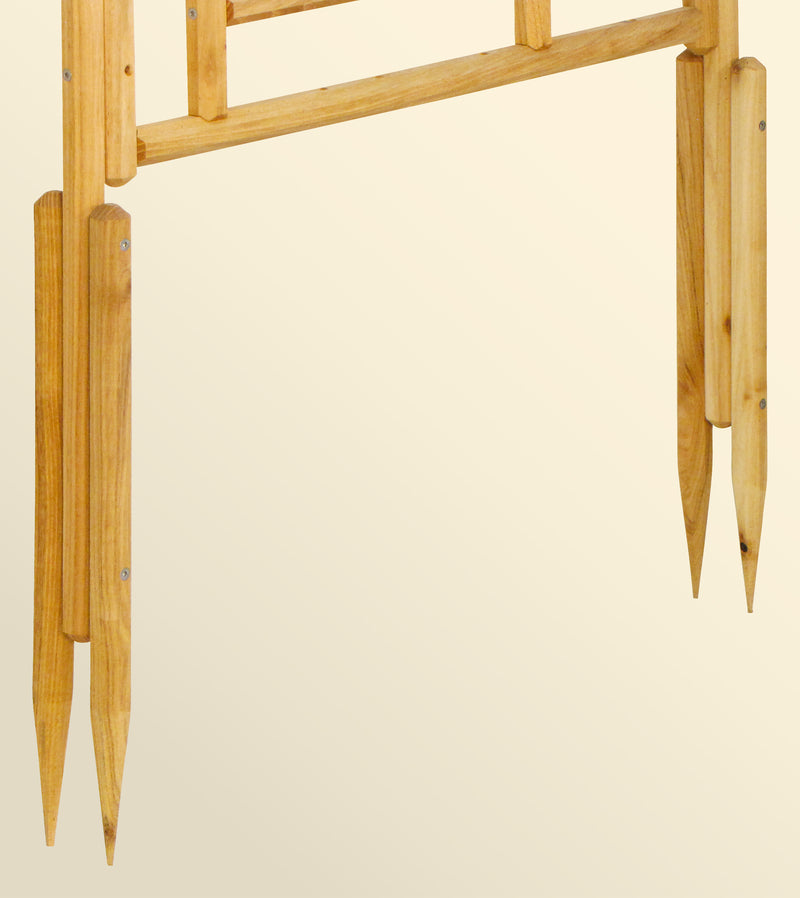 robinia-pro KLETTERHILFE Clematis