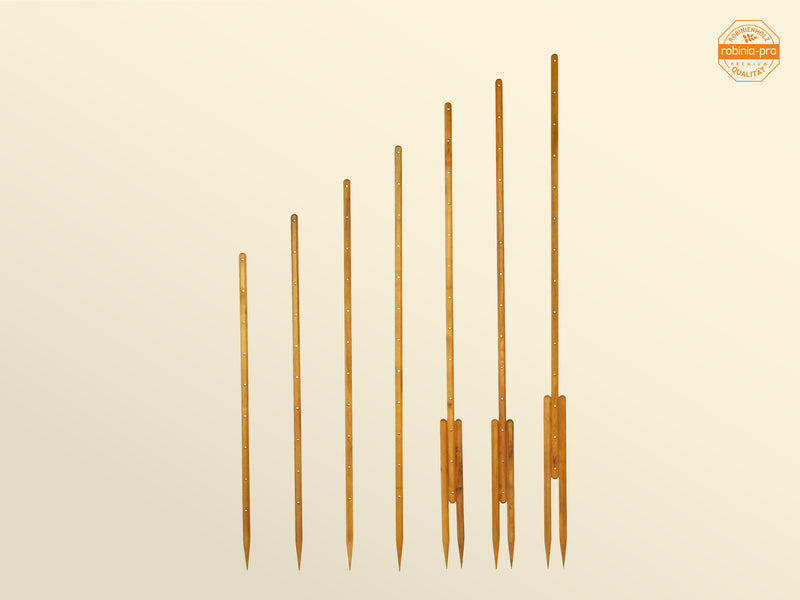 robinia-pro TOMATENSTÄBE