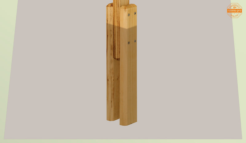 robinia-pro ZAUNPFOSTEN in Erde