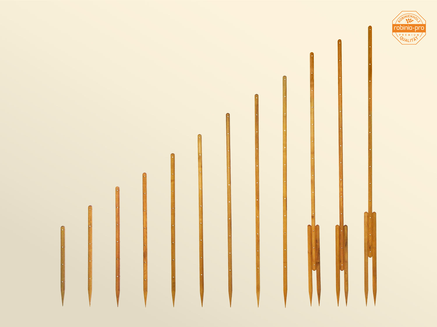 robinia-pro RANKSTAB aus Holz