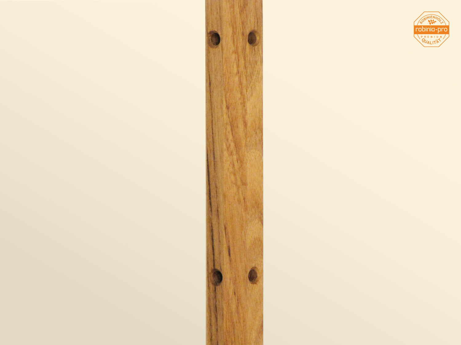 robinia-pro PFLANZSTAB aus Holz – robinia24