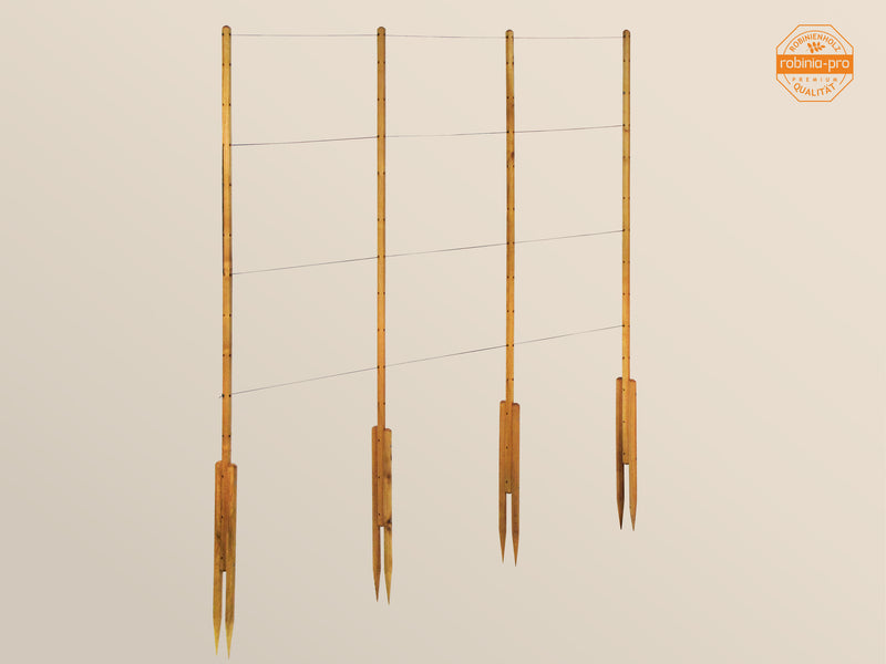 robinia-pro HIMBEERSPALIER – robinia24